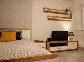 Apartament 27，位于普沃茨克的酒店