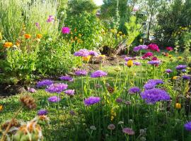 Blooming Delight Tauranga，位于陶朗加的民宿
