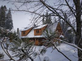 Chata Baba Yaga，位于兹蒂尔的山林小屋