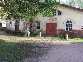 罗金马嘉塔罗旅馆