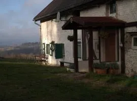Dziki domek