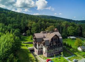 Boutique Hotel Sudetia - Medical & SPA，位于希维拉杜夫-兹德鲁伊的酒店