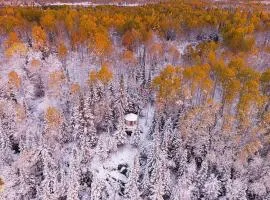 Les Racines du p'tit Isidore