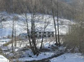 Kopaonik Family House "Brzeće"