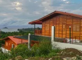 Domus Guesthouse