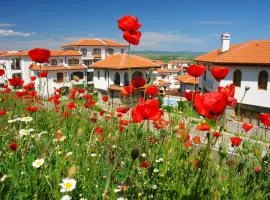 The Vineyards Boutique Hotel & SPA