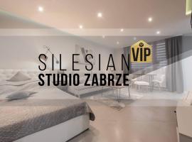 Studio Silesian Vip，位于扎布热的公寓