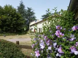 Villa Luxe avec Spa, Piscine Chauffée & Salle de Sport à Beauville