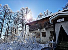 First Tracks Madarao，位于饭山市的住宿加早餐旅馆