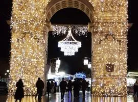 蒙特沙佩第戎中心酒店