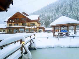 Pensiunea Casiana，位于Ciulpăz的酒店