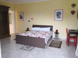 Leo home