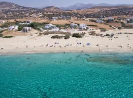 Salty Apartments Sea View Naxos，位于纳克索斯岛卡斯特拉基的酒店