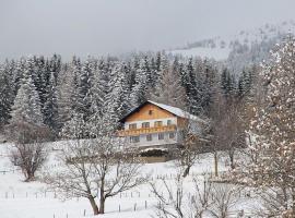 Ferienwohnung Greim，位于Sankt Peter am Kammersberg的酒店