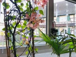 Maison d'hôtes Aux Deux Cigognes