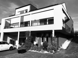 Villa Metz / Amnéville 200m2