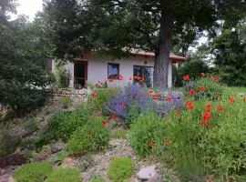 Apartmánový dom Harmónia