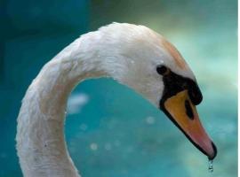 莉迪亚酒店，位于Krinídhes的酒店