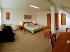 Villa Sanitas，位于泰基尔吉奥尔的酒店