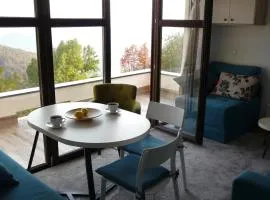 Apartman D52 Dvori