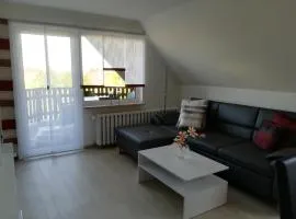 Ferienwohnung im Harz mit Klimaanlage