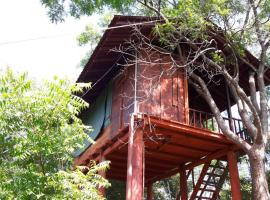 Dambulla Tree House，位于丹不拉的木屋