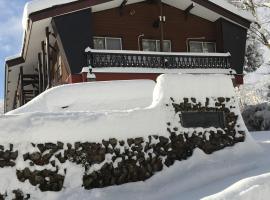 Myoko Ski Lodge in Akakura Village，位于妙高的山林小屋