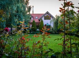 Daiconi Boutique House，位于Miniş的酒店