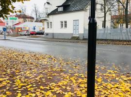 Vita Huset Hotell B&B Sölvesborg，位于瑟尔沃斯堡的酒店