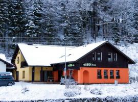 Pension 444 - Ski Resort Herlikovice and Bubakov，位于弗尔赫拉比的酒店