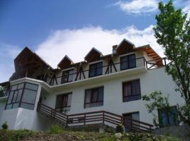 Squirrel's Pension，位于Negraşu的酒店