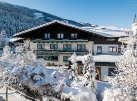 里德尔阿尔卑斯山别墅酒店，位于费尔兹姆斯堡格林滑雪缆车附近的酒店