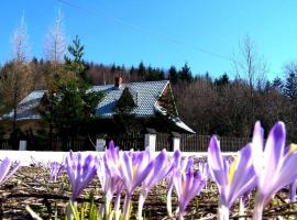Góralska Czarcia Chata pod Jałowcem，位于Stryszawa的酒店