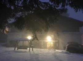 Charming Chalet Timisu de Sus，位于普雷代亚尔的酒店