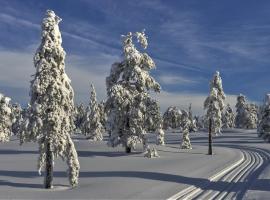 Tyrifjord Hotell，位于维克松的海滩酒店