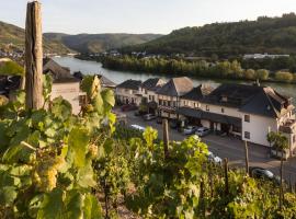 Hotel garni "Café im Hamm"，位于摩泽尔河畔的泽尔的旅馆