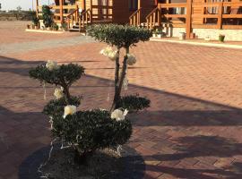 La Escapada，位于Minaya的带泳池的酒店