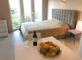 Studio Apartments Santa