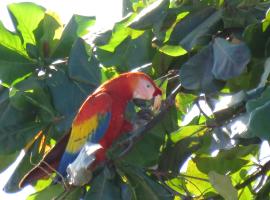 切兹斯菲利普民宿，位于奥罗蒂纳的酒店