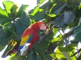 切兹斯菲利普民宿