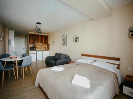 Maisako's New Gudauri Apartment，位于古多里的酒店