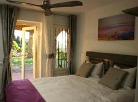 B&B Premium
