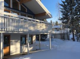 Hyllan，位于萨伦的木屋