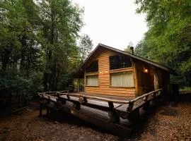 回罗回罗山林小屋