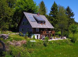 Ferienhaus "Am Wäldle"，位于费尔德伯格的乡村别墅