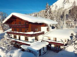 Pension Dachsteinhof，位于拉姆绍达赫斯坦的酒店