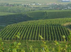 Casa Colinelor，位于Urlaţi的酒店