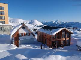 Gudauri Guest House，位于古多里的酒店