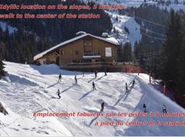 Hôtel LAPIAZ & Spa - FLAINE，位于福勒恩的酒店