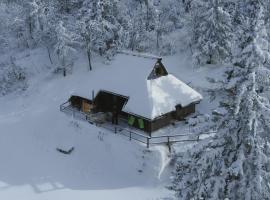 Chalet Pehta Velika Planina，位于Stahovica的酒店